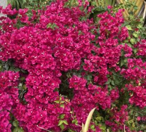 ec6e852e 0ea4 436d 9fd7 0aceb59b4e02